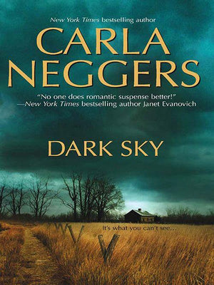 Dark Sky (Three Ways to Win/Authors at Sea, Book 1): First edition (9781472046055)