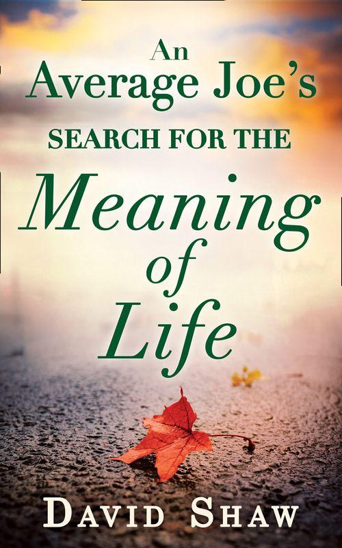 An Average Joe&#39;s Search For The Meaning Of Life: First edition