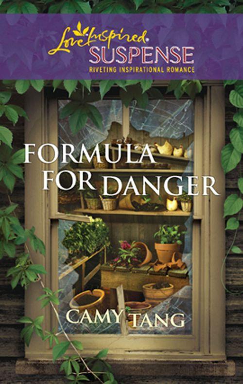 Formula for Danger (Mills &amp; Boon Love Inspired): First edition
