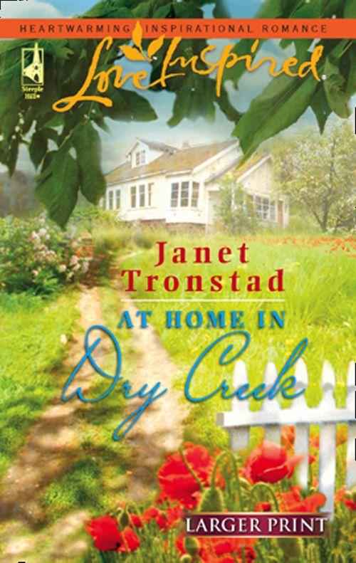 At Home in Dry Creek (Mills &amp; Boon Love Inspired): First edition