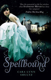 Spellbound (A Spellbound Story, Book 1): First edition (9781408957370)
