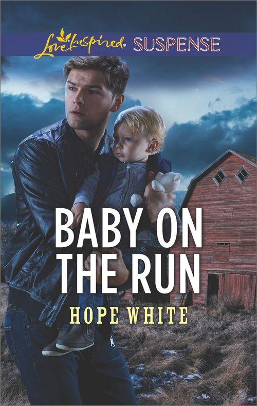 The Baby Protectors - Baby On The Run (Mills &amp; Boon Love Inspired Suspense) (The Baby Protectors)