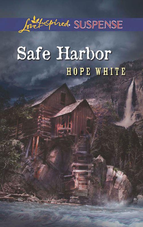 Safe Harbor (Mills &amp; Boon Love Inspired Suspense): First edition