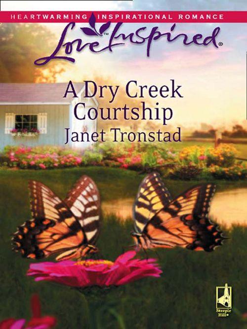 Dry Creek - A Dry Creek Courtship (Mills &amp; Boon Love Inspired) (Dry Creek, Book 11): First edition