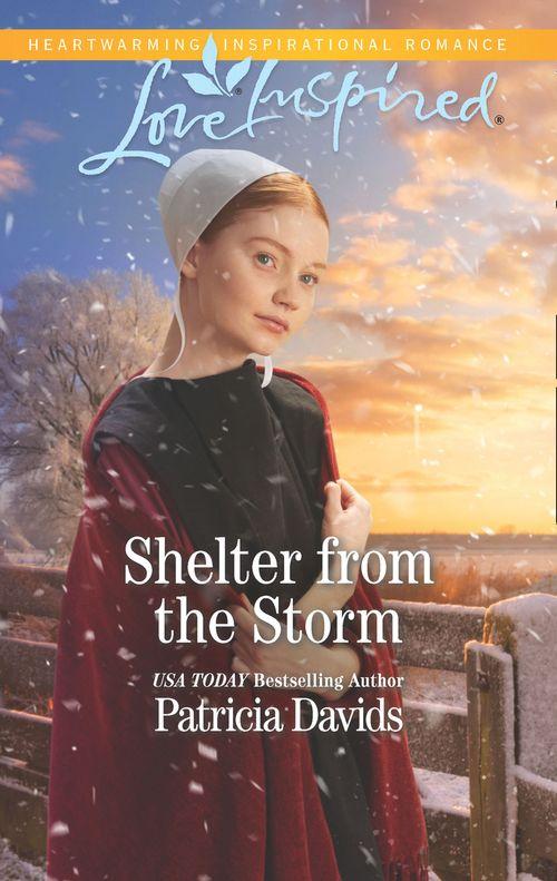 North Country Amish - Shelter From The Storm (Mills &amp; Boon Love Inspired) (North Country Amish, Book 1)