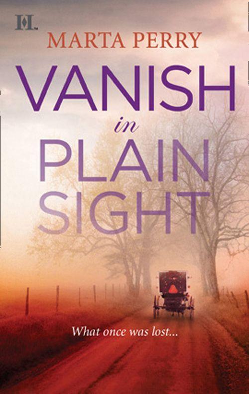 Brotherhood of the Raven - Vanish in Plain Sight (Brotherhood of the Raven, Book 2): First edition
