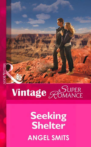 Seeking Shelter (Mills &amp; Boon Vintage Superromance): First edition