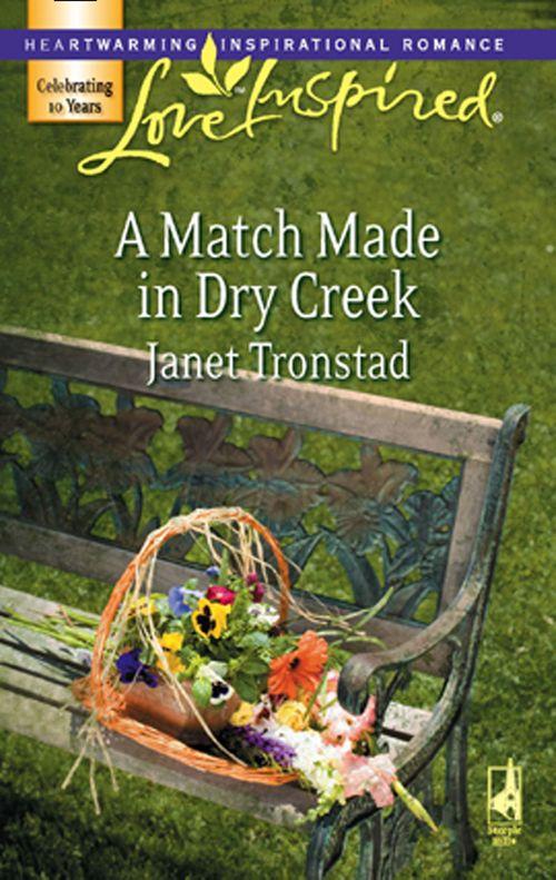 A Match Made in Dry Creek (Mills &amp; Boon Love Inspired): First edition