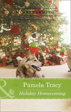 Scorpion Ridge, Arizona - Holiday Homecoming (Mills &amp; Boon Heartwarming) (Scorpion Ridge, Arizona, Book 3): First edition