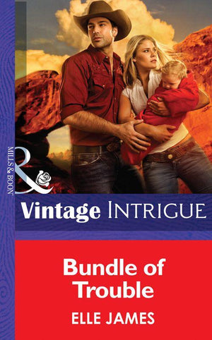 Bundle Of Trouble (Mills &amp; Boon Intrigue): First edition