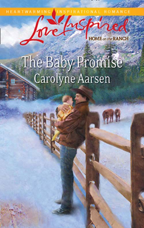 The Baby Promise (Mills &amp; Boon Love Inspired): First edition