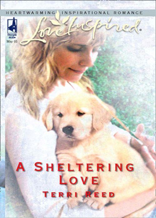 A Sheltering Love (Mills &amp; Boon Love Inspired): First edition