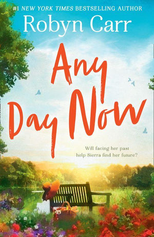 Sullivan&#39;s Crossing - Any Day Now (Sullivan&#39;s Crossing, Book 2)