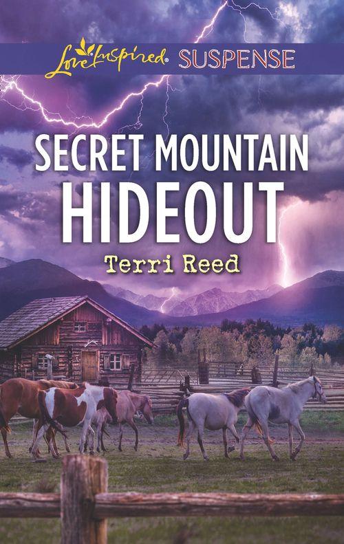 Secret Mountain Hideout (Mills &amp; Boon Love Inspired Suspense)