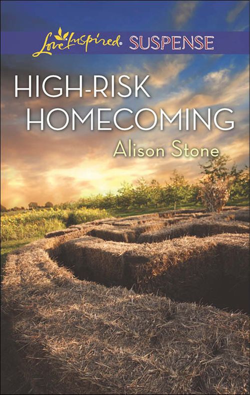 High-Risk Homecoming (Mills &amp; Boon Love Inspired Suspense): First edition